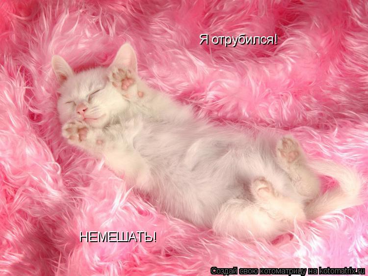 Котоматрица: Я отрубился! НЕМЕШАТЬ!