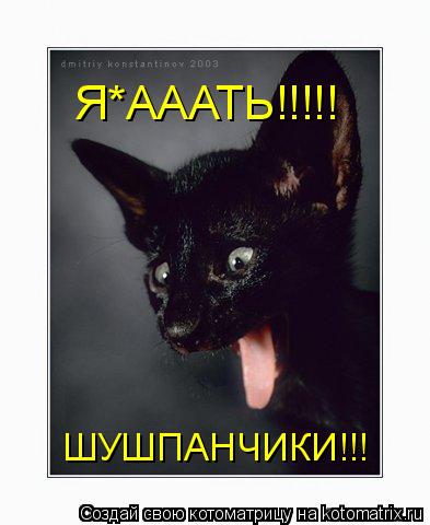 Котоматрица: Я*АААТЬ!!!!! ШУШПАНЧИКИ!!!