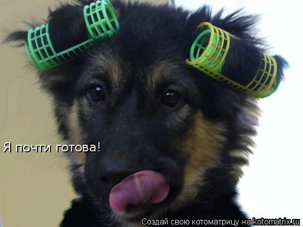 Котоматрица: Я почти готова!