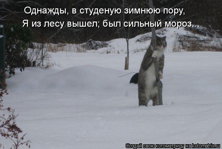 Котоматрица: Однажды, в студеную зимнюю пору, Я из лесу вышел; был сильный мороз...