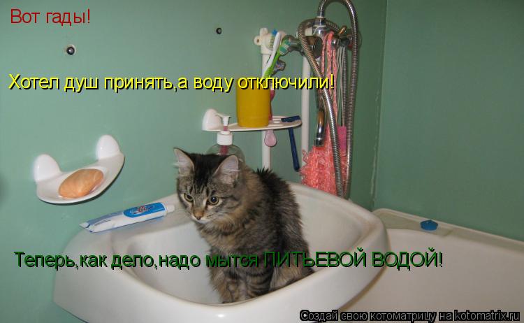 Котоматрица: Вот гады! Хотел душ принять,а воду отключили! Теперь,как дело,надо мытся ПИТЬЕВОЙ ВОДОЙ!