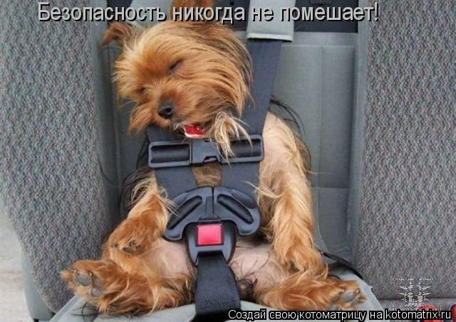 Котоматрица: Безопасность никогда не помешает!