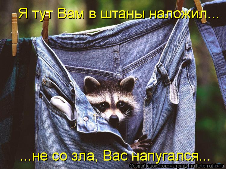 Я тут Вам в штаны наложил... ...не со зла, Вас напугался...... Котоматрица: Я тут Вам в штаны наложил... ...не со зла, Вас напугался...