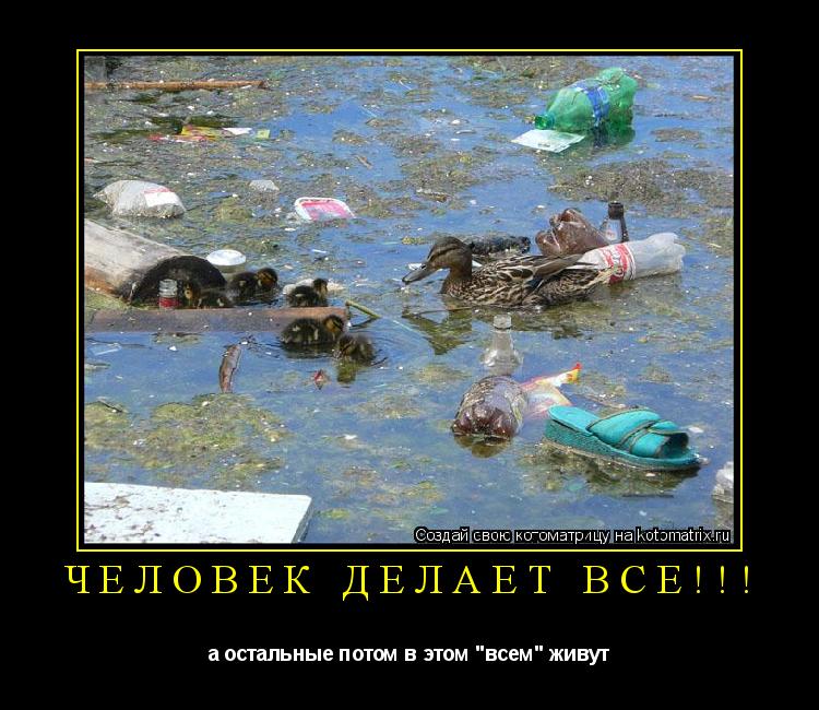 Котоматрица: человек делает все!!! а остальные потом в этом "всем" живут