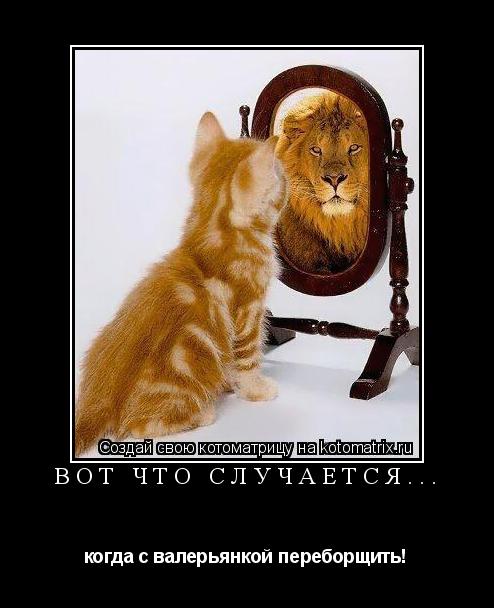 Котоматрица: Вот что случается... когда с валерьянкой переборщить!