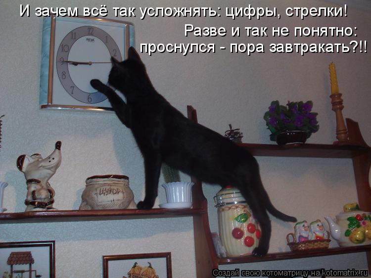 И зачем всё так усложнять: цифры, стрелки! Разве и так не понятно: проснулся - пора завтракать?!!... Котоматрица: И зачем всё так усложнять: цифры, стрелки! Разве и так не понятно: проснулся - пора завтракать?!!