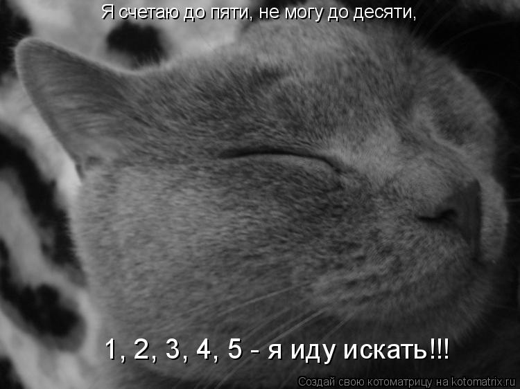 Котоматрица: Я счетаю до пяти, не могу до десяти, 1, 2, 3, 4, 5 - я иду искать!!!