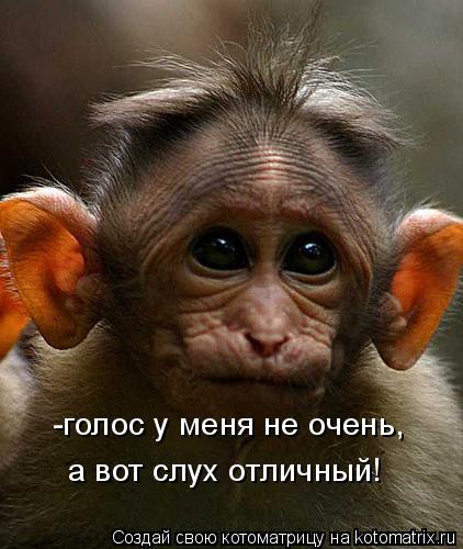 Котоматрица: -голос у меня не очень,  а вот слух отличный!