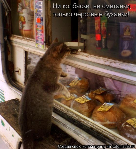 Котоматрица: Ни колбаски, ни сметанки,  только черствые буханки!