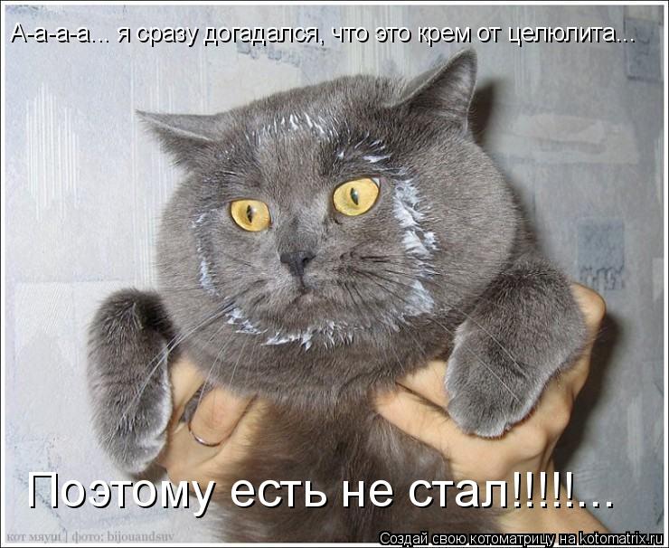Котоматрица: Поэтому есть не стал!!!!!... А-а-а-а... я сразу догадался, что это крем от целюлита...
