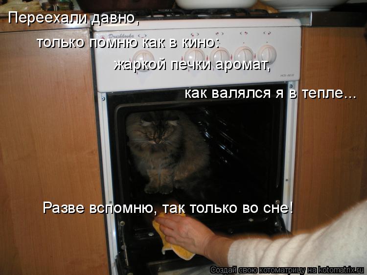 Котоматрица: Переехали давно, только помню как в кино: жаркой печки аромат, как валялся я в тепле... Разве вспомню, так только во сне!