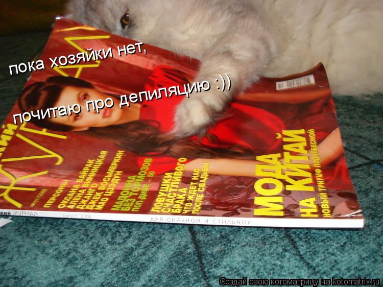 Котоматрица: пока хозяйки нет, почитаю про депиляцию :)) пока хозяйки нет, почитаю про депиляцию :))