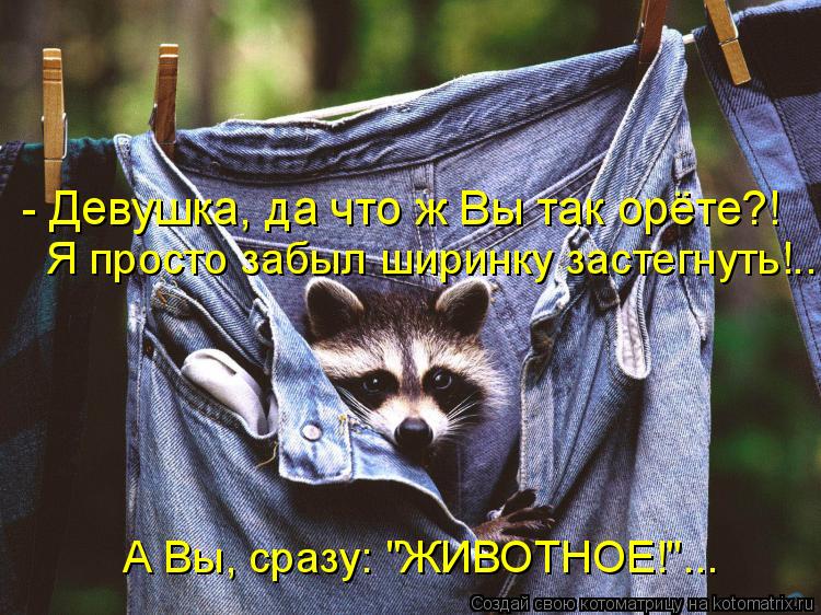 - Девушка, да что ж Вы так орёте?! Я просто забыл ширинку застегнуть!.. А Вы, сразу: "ЖИВОТНОЕ!"...... Котоматрица: - Девушка, да что ж Вы так орёте?! Я просто забыл ширинку застегнуть!.. А Вы, сразу: "ЖИВОТНОЕ!"...