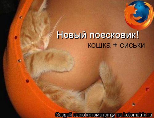 Котоматрица: кошка + сиськи Новый поесковик!