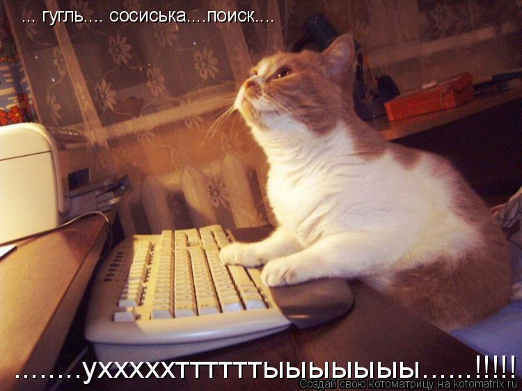 ... гугль.... сосиська....поиск.... ........ухххххттттттыыыыыыы......!!!!!... Котоматрица: ... гугль.... сосиська....поиск.... ........ухххххттттттыыыыыыы......!!!!!