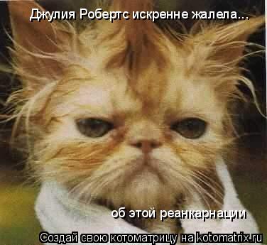 Котоматрица: Джулия Робертс искренне жалела...  об этой реанкарнации