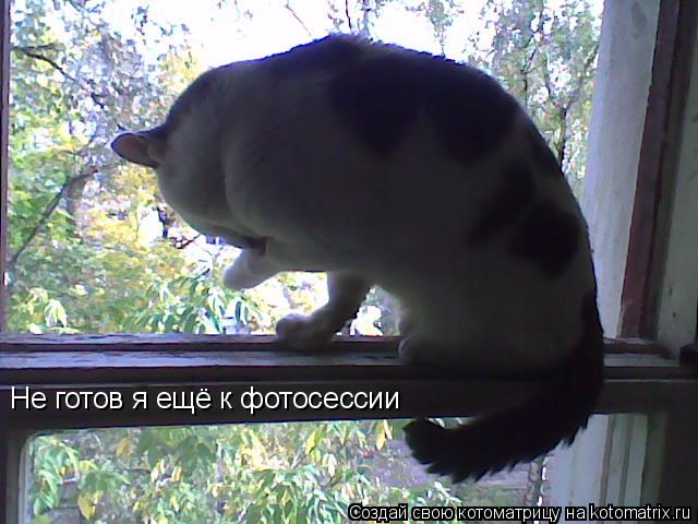 Не готов я ещё к фотосессии... Котоматрица: Не готов я ещё к фотосессии