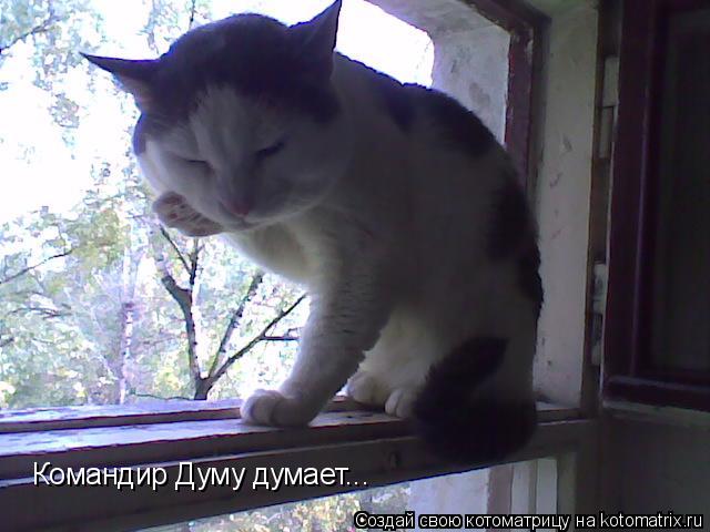 Командир Думу думает...... Котоматрица: Командир Думу думает...