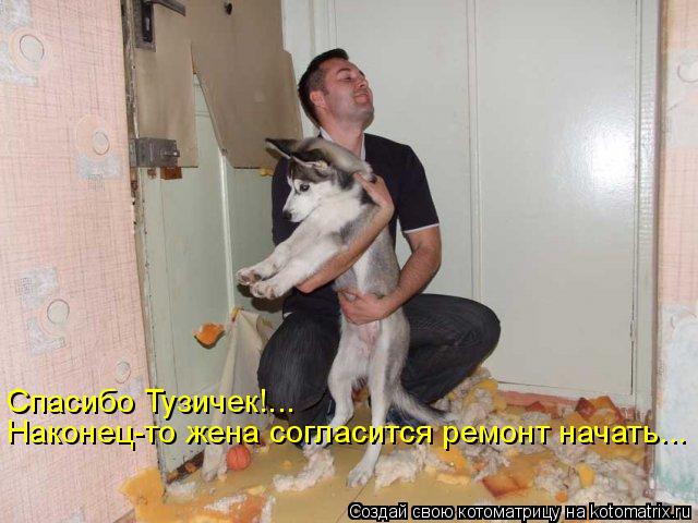 Спасибо Тузичек!... Наконец-то жена согласится ремонт начать...... Котоматрица: Спасибо Тузичек!... Наконец-то жена согласится ремонт начать...