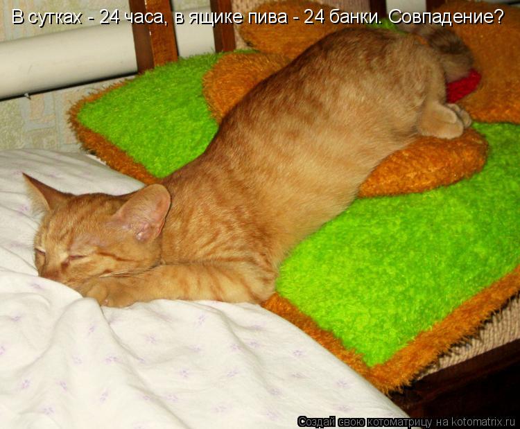 Котоматрица: В сутках - 24 часа, в ящике пива - 24 банки. Совпадение?