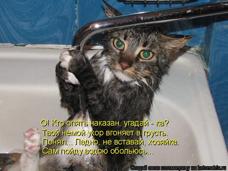Котоматрица: О! Кто опять наказан, угадай - ка? Твой немой укор вгоняет в грусть. Понял... Ладно, не вставай, хозяйка. Сам пойду водою обольюсь...