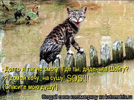 - Долго я так не смогу! Где ты, дяденька Шойгу? Я домой хочу, на сушу! SOS!!! (Спасите мою душу!)... Котоматрица: - Долго я так не смогу! Где ты, дяденька Шойгу? Я домой хочу, на сушу! SOS!!! (Спасите мою душу!)