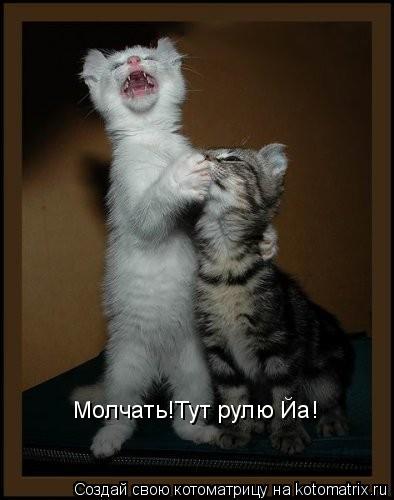 Молчать!Тут рулю Йа!... Котоматрица: Молчать!Тут рулю Йа!