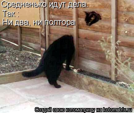 Так : Ни два, ни полтора Средненько идут дела.... Котоматрица: Так : Ни два, ни полтора Средненько идут дела.