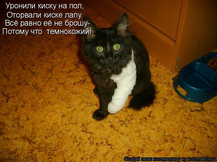 Уронили киску на пол, Оторвали киске лапу. Всё равно её не брошу- Потому что темнокожий!... Котоматрица: Уронили киску на пол, Оторвали киске лапу. Всё равно её не брошу- Потому что темнокожий!
