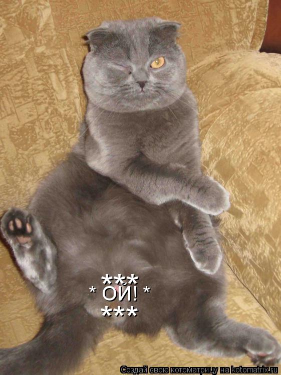 * ОЙ! * *** ***... Котоматрица: * ОЙ! * *** ***