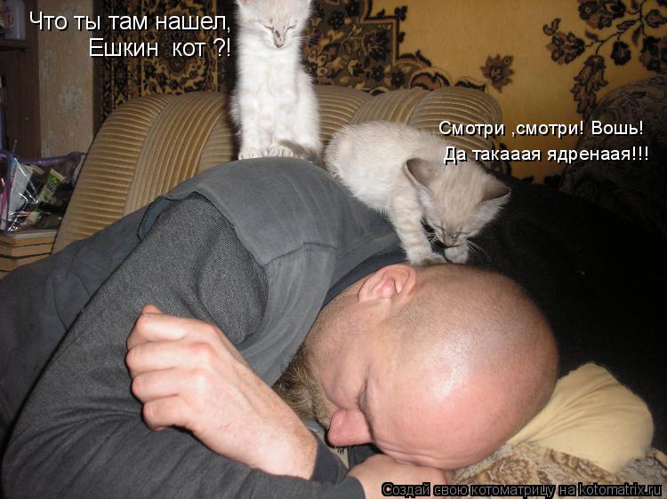 Что ты там нашел, Ешкин кот ?! Смотри ,смотри! Вошь! Да такааая ядренаая!!!... Котоматрица: Что ты там нашел, Ешкин кот ?! Смотри ,смотри! Вошь! Да такааая ядренаая!!!