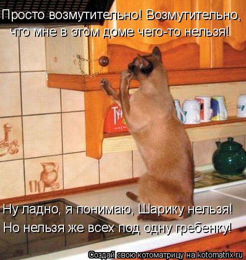 Котоматрица: Просто возмутительно! Возмутительно,  что мне в этом доме чего-то нельзя!  Ну ладно, я понимаю, Шарику нельзя!  Но нельзя же всех под одну греб