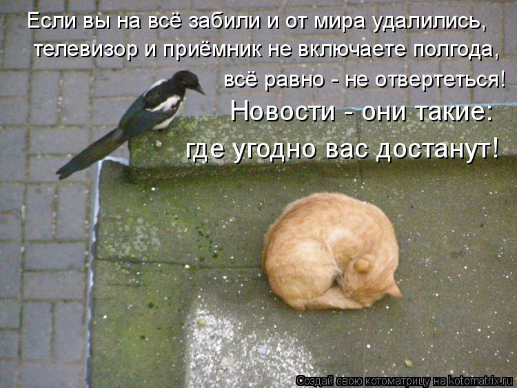 Если вы на всё забили и от мира удалились, телевизор и приёмник не включаете полгода, всё равно - не ... Котоматрица: Если вы на всё забили и от мира удалились, телевизор и приёмник не включаете полгода, всё равно - не отвертеться! Новости - они такие: где уго