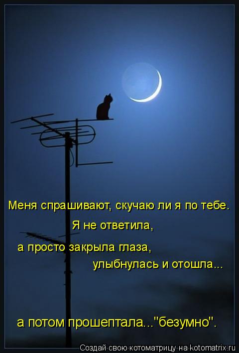 Меня спрашивают, скучаю ли я по тебе. Я не ответила, а просто закрыла глаза, улыбнулась и отошла...... Котоматрица: Меня спрашивают, скучаю ли я по тебе. Я не ответила, а просто закрыла глаза, улыбнулась и отошла... а потом прошептала..."безумно".