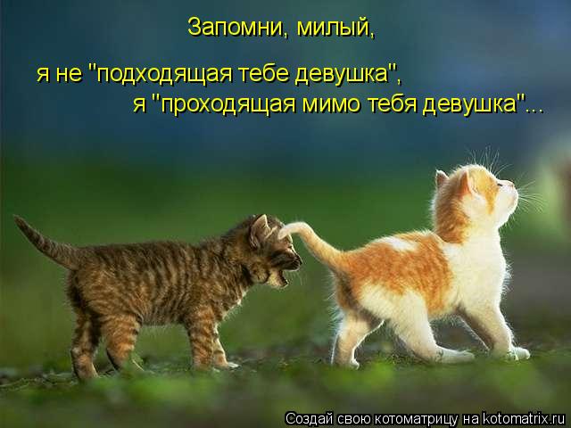 Запомни, милый, я не "подходящая тебе девушка", я "проходящая мимо тебя девушка"...... Котоматрица: Запомни, милый, я не "подходящая тебе девушка", я "проходящая мимо тебя девушка"...