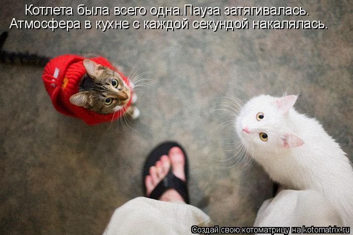 Котоматрица: Котлета была всего одна.Пауза затягивалась. Атмосфера в кухне с каждой секундой накалялась.