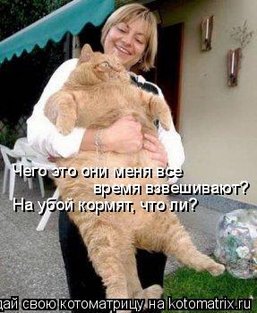 Чего это они меня все время взвешивают? На убой кормят, что ли?... Котоматрица: Чего это они меня все время взвешивают? На убой кормят, что ли?