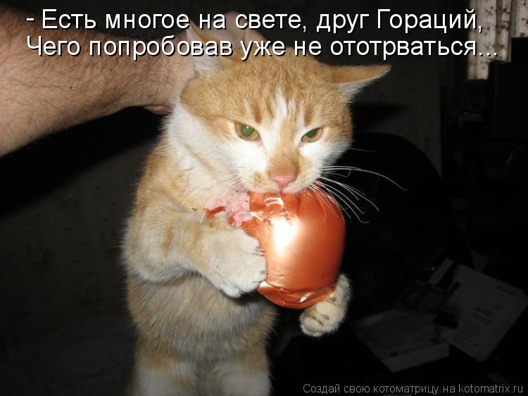 Есть многое на свете, друг Гораций, Чего попробовав уже не ототрваться... -... Котоматрица: Есть многое на свете, друг Гораций, Чего попробовав уже не ототрваться... -