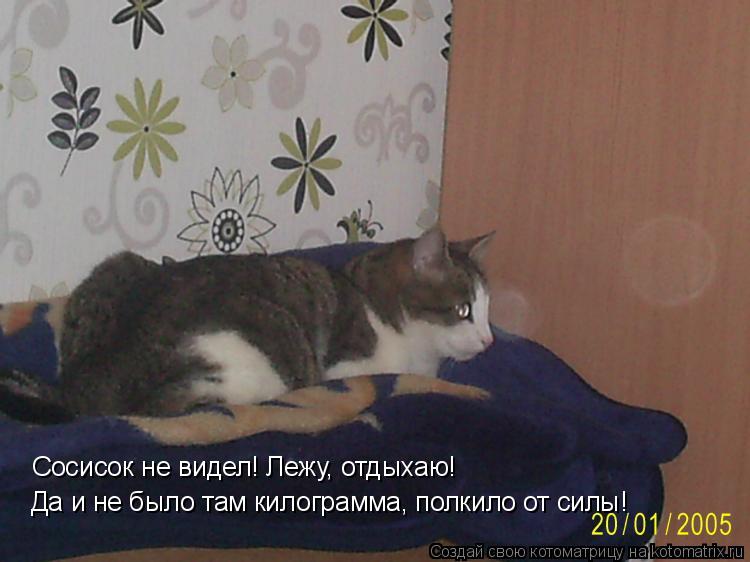 Котоматрица: Сосисок не видел! Лежу, отдыхаю! Да и не было там килограмма, полкило от силы!