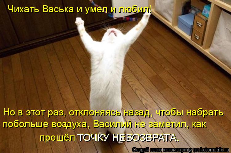 Чихать Васька и умел и любил! Но в этот раз, отклоняясь назад, чтобы набрать побольше воздуха, Васил... Котоматрица: Чихать Васька и умел и любил! Но в этот раз, отклоняясь назад, чтобы набрать побольше воздуха, Василий не заметил, как прошёл ТОЧКУ НЕВОЗВРА