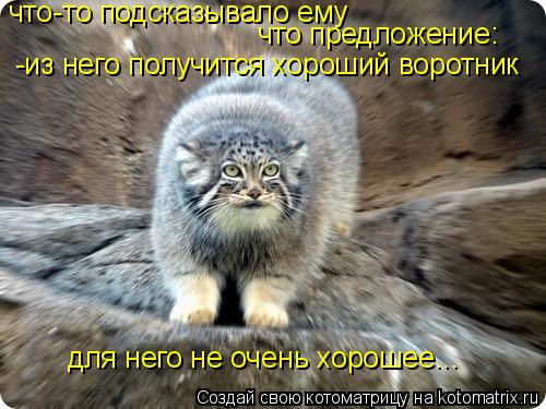 Котоматрица: что-то подсказывало ему  что предложение: -из него получится хороший воротник для него не очень хорошее...