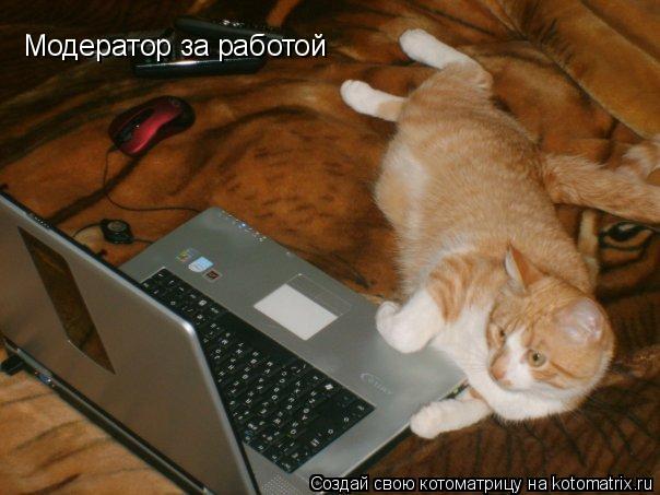 Котоматрица: Модератор за работой