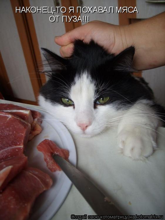 Котоматрица: НАКОНЕЦ-ТО Я ПОХАВАЛ МЯСА  ОТ ПУЗА!!!