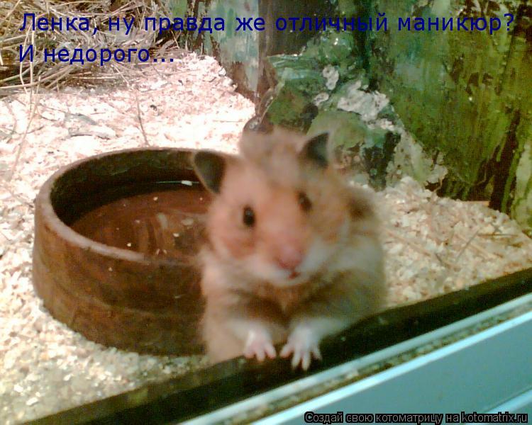 Ленка, ну правда же отличный маникюр? И недорого... Ленка, ну правда же отличный маникюр? И недорого... Котоматрица: Ленка, ну правда же отличный маникюр? И недорого... Ленка, ну правда же отличный маникюр? И недорого...