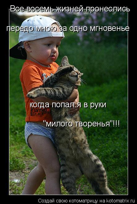 когда попал я в руки "милого творенья"!!! Все восемь жизней пронеслись передо мною за одно мгновенье... Котоматрица: когда попал я в руки "милого творенья"!!! Все восемь жизней пронеслись передо мною за одно мгновенье