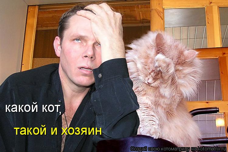 какой кот , такой и хозяин... Котоматрица: какой кот , такой и хозяин
