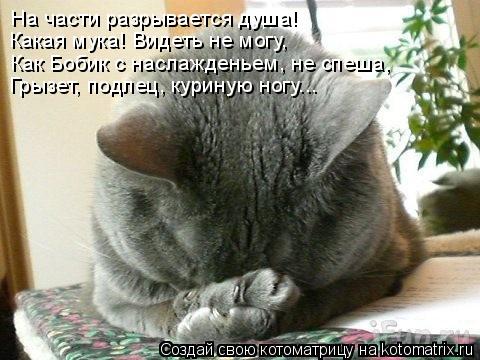 На части разрывается душа! Какая мука! Видеть не могу, Как Бобик с наслажденьем, не спеша, Грызет, по... Котоматрица: На части разрывается душа! Какая мука! Видеть не могу, Как Бобик с наслажденьем, не спеша, Грызет, подлец, куриную ногу...