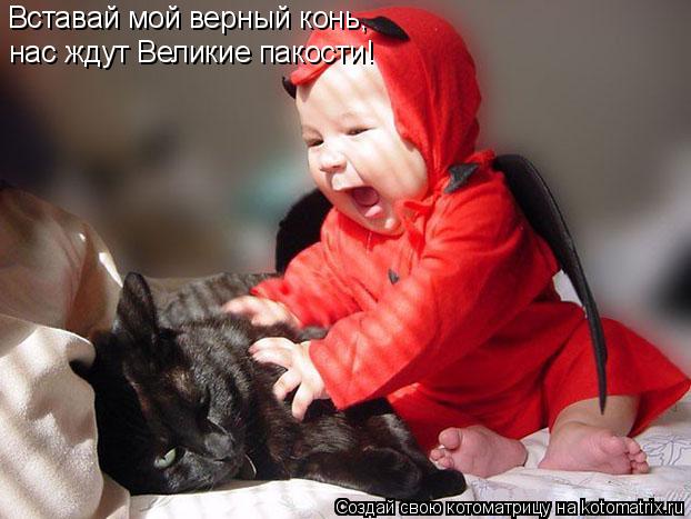Котоматрица: Вставай мой верный конь,  нас ждут Великие пакости!