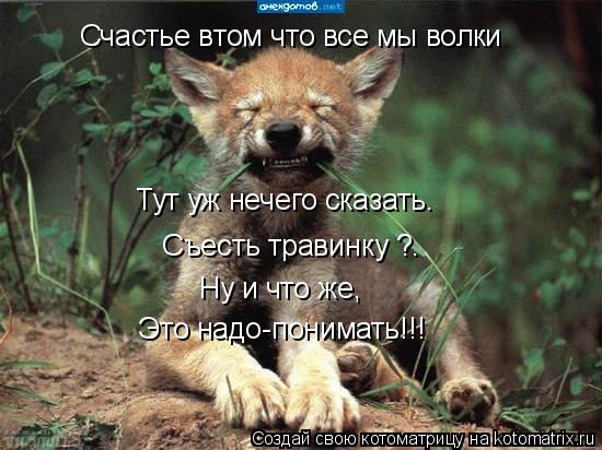 Счастье втом что все мы волки Тут уж нечего сказать. Съесть травинку ?. Ну и что же, Это надо-понимат... Котоматрица: Счастье втом что все мы волки Тут уж нечего сказать. Съесть травинку ?. Ну и что же, Это надо-понимать!!!