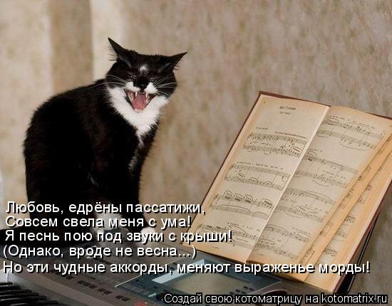 Любовь, едрёны пассатижи, Совсем свела меня с ума! Я песнь пою под звуки с крыши! (Однако, вроде не в... Котоматрица: Любовь, едрёны пассатижи, Совсем свела меня с ума! Я песнь пою под звуки с крыши! (Однако, вроде не весна...) Но эти чудные аккорды, меняют выраж